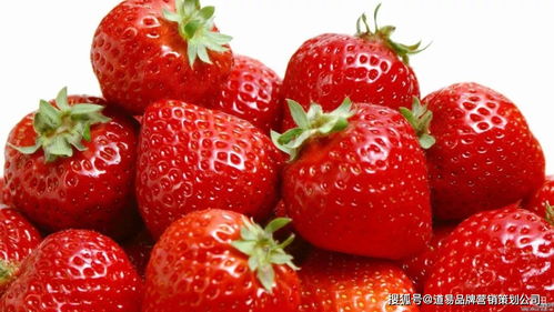 食品品牌營銷策劃公司 以消費者洞察為核心，驅動品牌價值增長