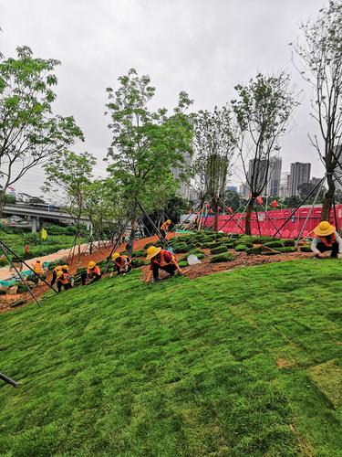 國藝園林大沙河生態(tài)長(zhǎng)廊景觀項(xiàng)目綠化工程II標(biāo) 假山的藝術(shù)與生態(tài)融合