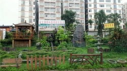 聚焦南寧園林景觀建設(shè) 如何甄選專業(yè)正規(guī)的假山施工公司