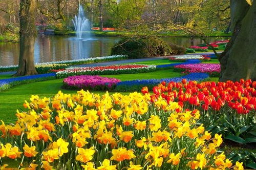 疊石成景，巧筑自然——園林假山設(shè)計(jì)施工的六個核心秘訣